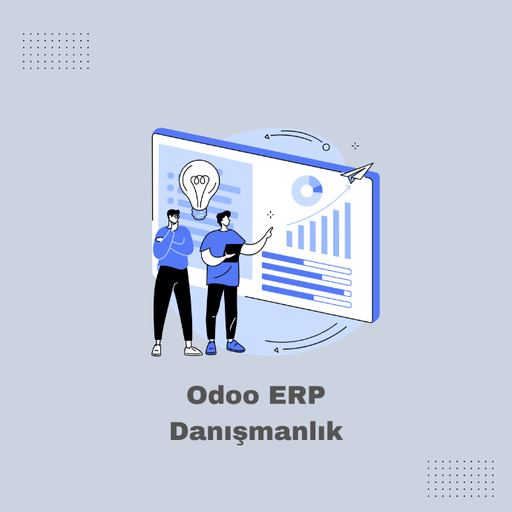ERP Danışmanlık Hizmeti